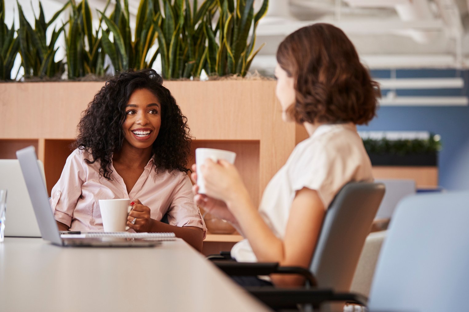 Two Businesswomen Working at Table in Modern Open Plan Office Dr